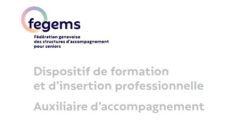 AA-flyer