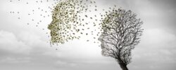 La Maison Hemma - Un lieu de vie pour les jeunes personnes atteintes d'Alzheimer